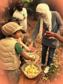 Forest School for families with young children-8